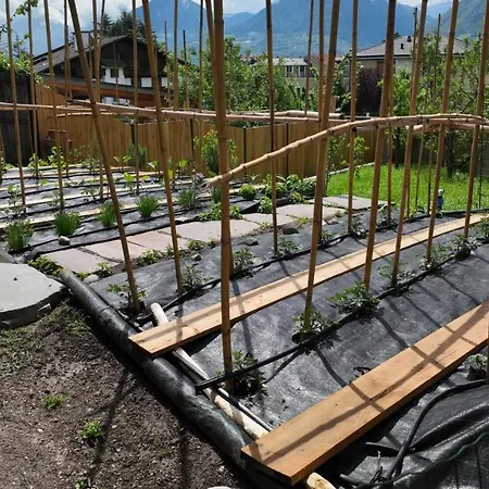 Appartement Nora S 2 - Panoramic Terrace & Bio Garden