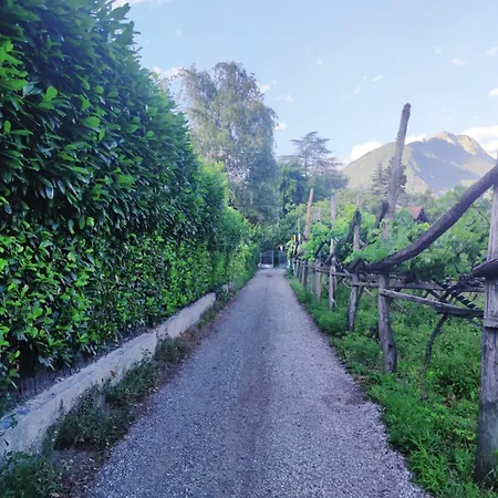 Nora S 2 - Panoramic Terrace & Bio Garden Lejlighed Merano