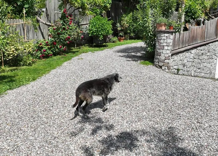 アパート Nora S 2 - Panoramic Terrace & Bio Garden