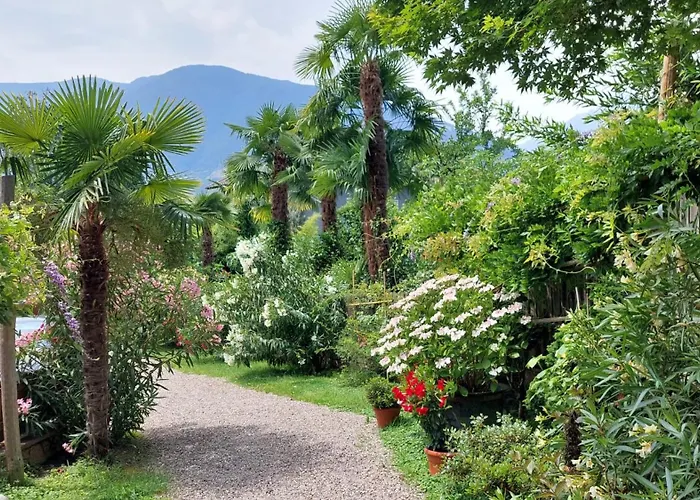 Nora S 2 - Panoramic Terrace & Bio Garden * Merano